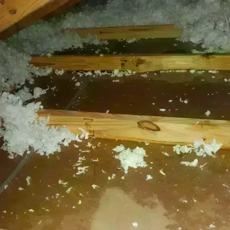 Attic Water Damage in Flagstaff, AZ