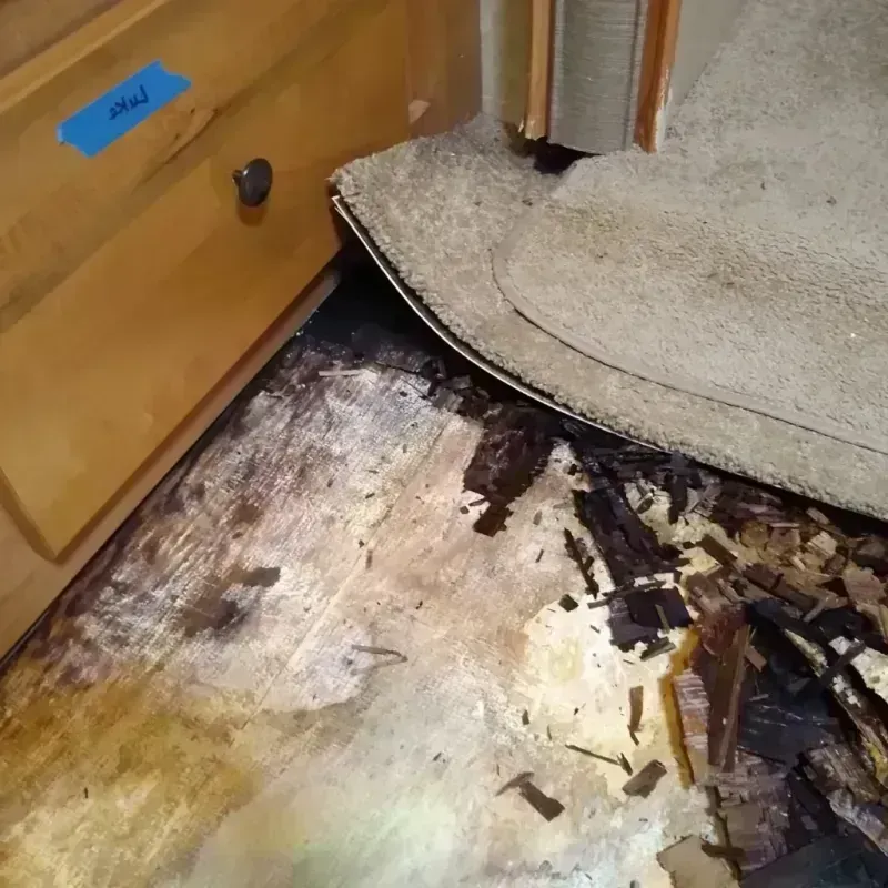 Wood Floor Water Damage in Flagstaff, AZ